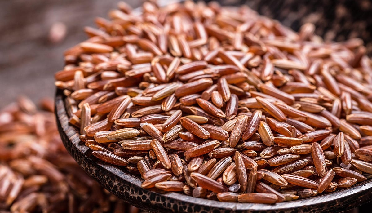 Do you know the benefits of Navara rice? நவரா அரிசியில் இருக்கும் ...