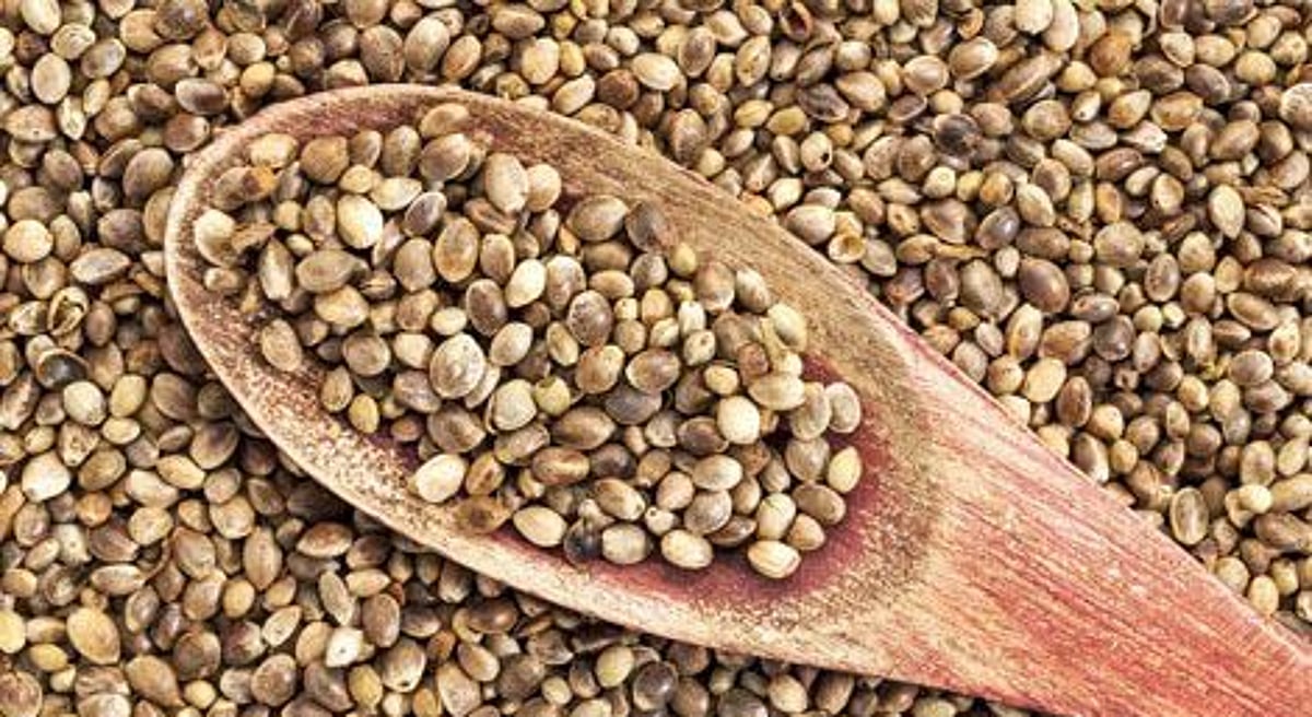 Tahukah Anda tentang biji rami yang bergizi? Tahukah Anda tentang biji rami yang bergizi? Tahukah Anda tentang biji rami yang bergizi? Tahukah Anda tentang biji rami yang bergizi?