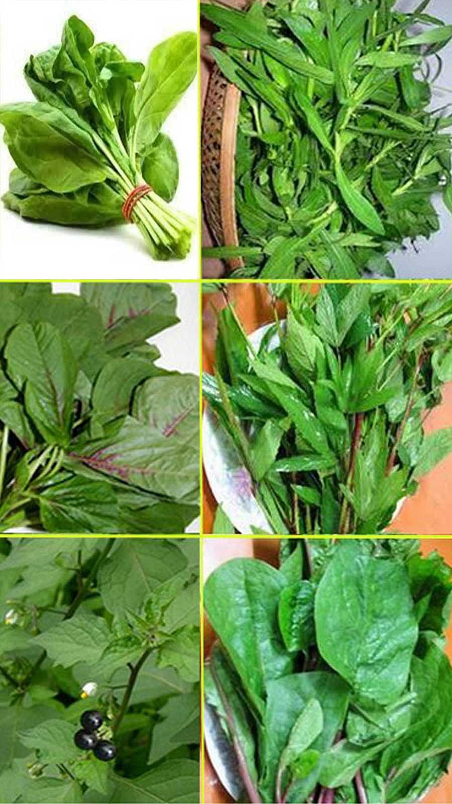 March 25 National Lettuce Day!