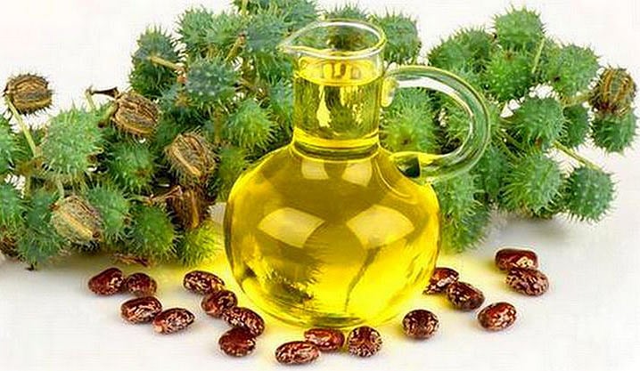 ஆமணக்கு எண்ணெயில் இவ்வளவு ஆரோக்கிய நன்மைகளா? So many health benefits of ...