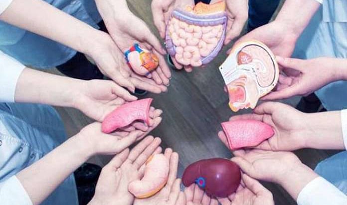 இறந்தும் வாழும் அதிசயம் நிகழும் உடல் உறுப்பு தானம்! Organ donation!