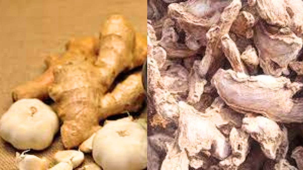 வாயுத் தொல்லை தீர கைகண்ட மருந்து சுக்குப் பூண்டு லேகியம்! Sukku poondu ...
