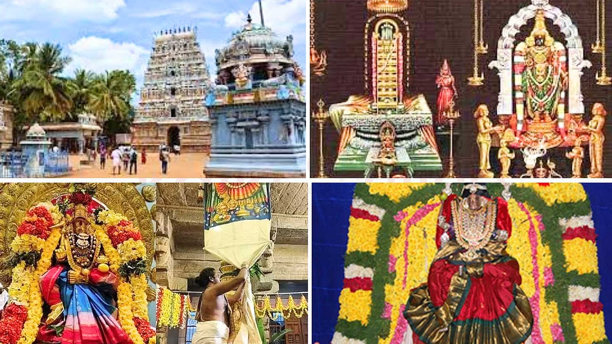 Rahu-Ketu Dosham... தானம்.. பெரும் பலன்! ராகு-கேது தோஷம் நீங்க நீங்க ...