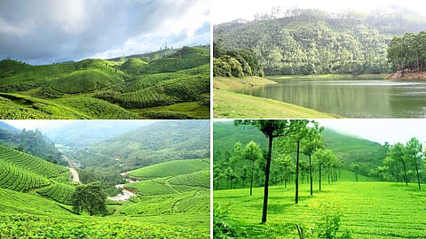 devikulam-hill-station கடவுளின் சொந்த தேசத்தில் 