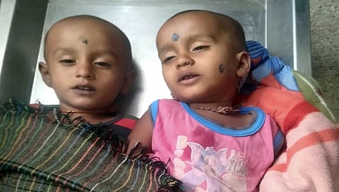 ಮೃತ ಪಟ್ಟ ತ್ರಿಶೂಲ್ ಮತ್ತು ತ್ರಿಶಾ