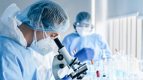 ಸಂಗ್ರಹ ಚಿತ್ರ