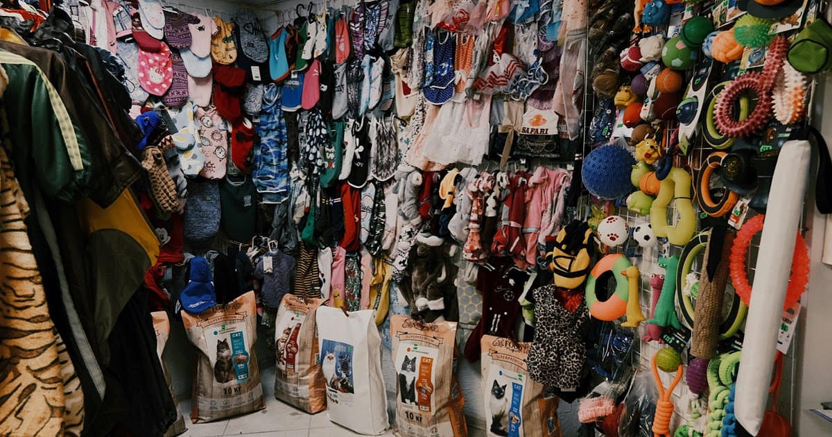 Best Pet Shops in Kanpur for Your Furry Friends Top Picks 2021