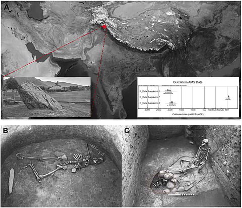 Sampling location: (A) Archaeological site of Burzahom in Kashmir, India (left panel inset is the image of actual excavation site, right panel is calibrated AMS dates), (B) Skeletal remains from one of the burial, C. Skeleton of a child (red circle) alongside the female skeleton.