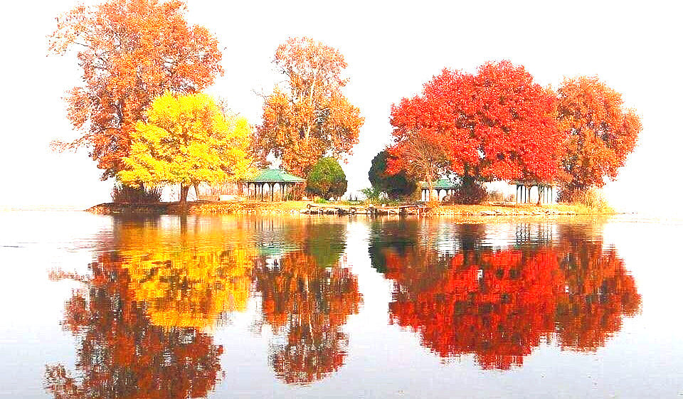 'Brothers Karamazov: Dostoyevsky takes a stroll in downtown Kashmir'