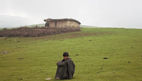 A shephard boy known as Chopans of Kashmir, who contract sheep and cattle grazing of farmers from plains areas for months during summers in the mountain grazing pastures of Kashmir Valley.