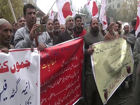 Apple farmers and CITU workers protesting against anti-farmer and anti-people policies and shortage of power supply in Srinagar, Kashmir on Sunday, November 26, 2023. 