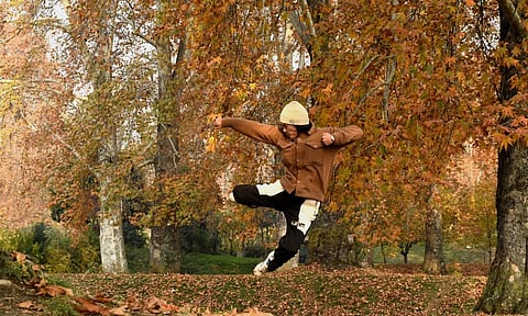Golden Season of Autumn in Kashmir