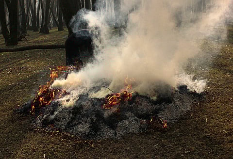 Kashmiri villagers burn leaves and tree branches to make charcoal ahead of harsh winters and power shortages on the outskirts of Srinagar city in Kashmir ahead of bone-chilling winters on November 24, 2023. 