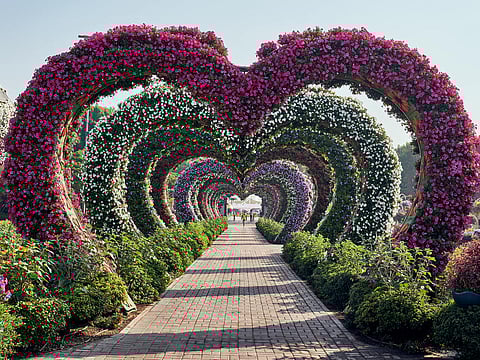 Miracle garden of Dubai in UAE is not only amazing but also a treat for the eyes and the soul and heart shaped entrance greets tourists and visitors. Video and Photos/Iftikhar Gilani
