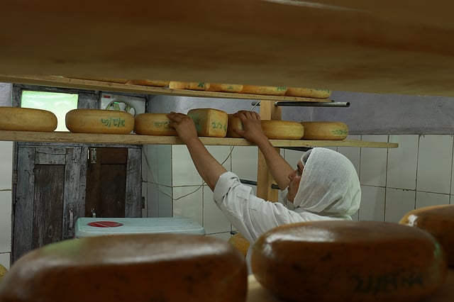 Empowering Kashmiri Women: The Cheese Revolution Transforming Lives