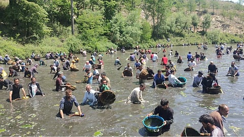 Cultural Conservation: Reviving 500 Springs at Kashmiri 'Gaade Maar'