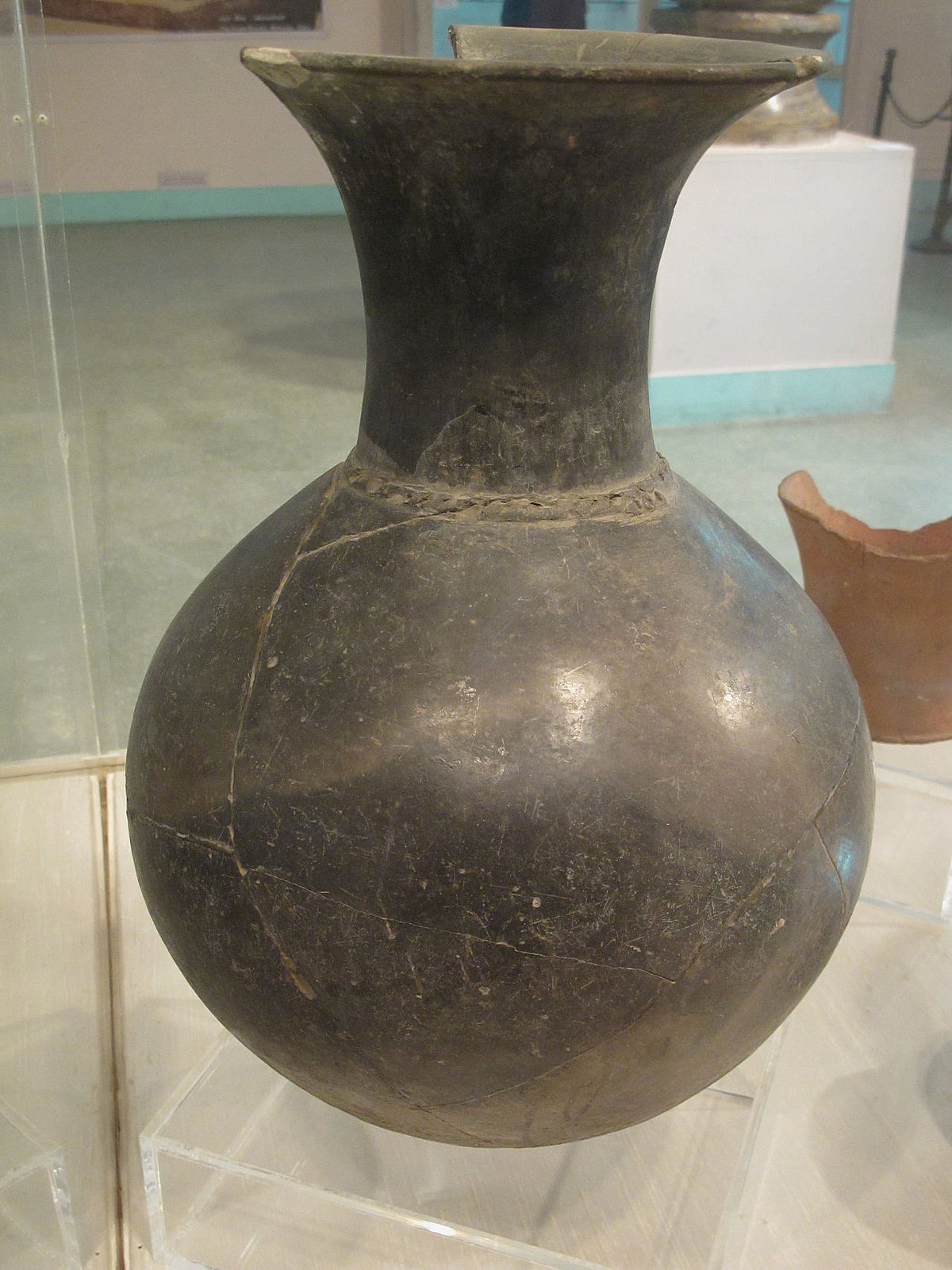 Ancient DNA: Kashmir's Genetic Link to Central Asia Unveiled