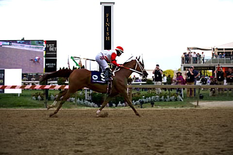 كأس رئيس الدولة: "دايموند جيم" يفوز بالكأس في بالتيمور