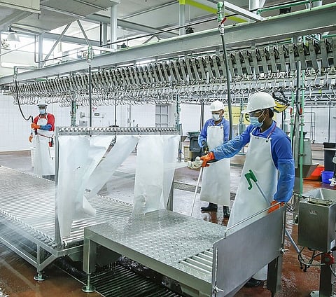 إجراءات صحية مشددة: مسالخ دبي تستعد لعيد الأضحى