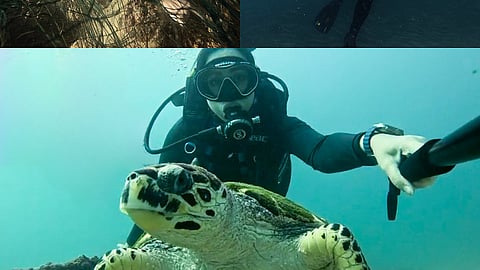 "الثلاثي الأزرق": حارسات أعماق الإمارات ..يغصن بشغف لحماية كنوزنا البحرية