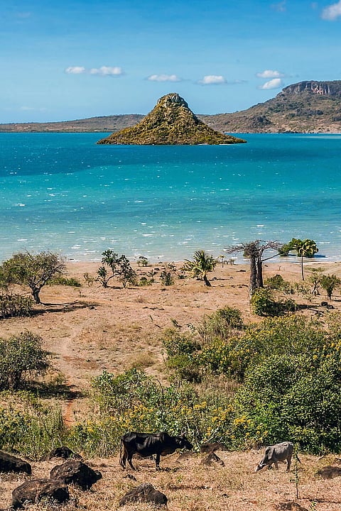 الصورة: إكسبيديا