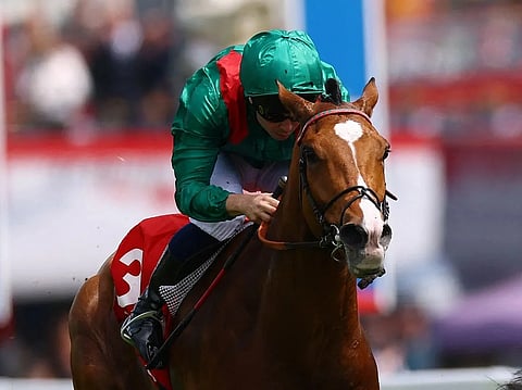 فاز كالانداجان، الذي يمتطيه ميكائيل بارزالونا