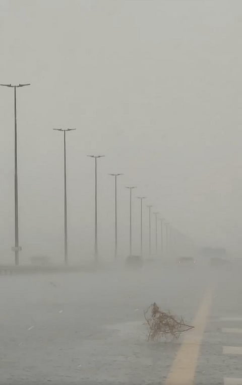 لقطة شاشة: Storm Center/x