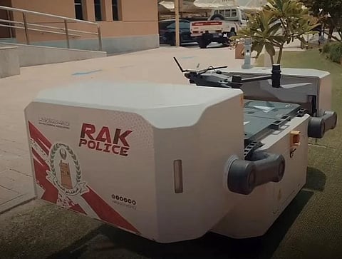 الصورة: شرطة رأس الخيمة/إنستغرام