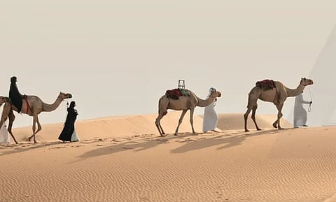 الصورة: مكتب أبوظبي للإعلام