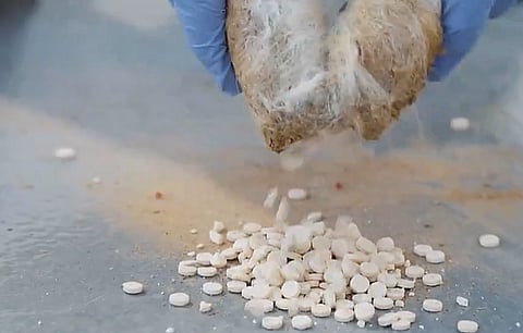 الأمن السعودي يحبط تهريب 400 ألف حبة كبتاجون داخل صوف الأغنام