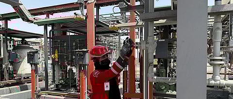 الصورة: مقدمة من رايسا المنصوري