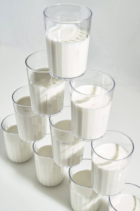 جويس لي/نيويورك تايمز