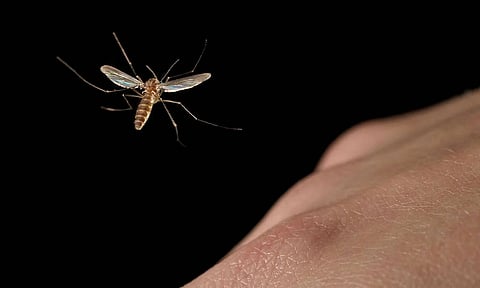 الصورة: ملف KT