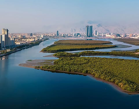 الصورة: ملف