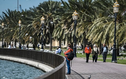 الصورة: ملف KT