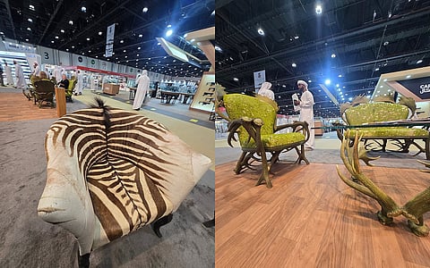 صور: حنين دجاني