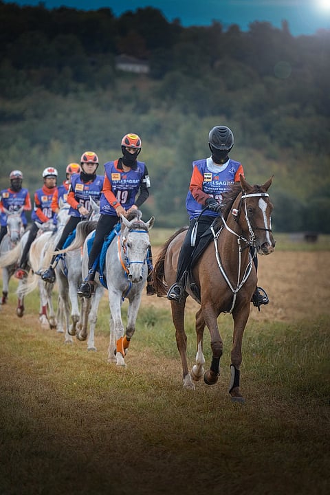 سيمثل فريق الإمارات العربية المتحدة خمسة فرسان في هذا الحدث.