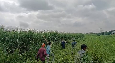 الصورة: لقطة شاشة من مقطع فيديو يظهر قرويين يبحثون عن نمر