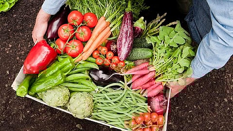 تم استخدام صورة ملف KT لأغراض التوضيح