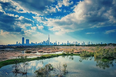  الإمارات: رطوبة ليلية مع توقع اضطراب البحر 