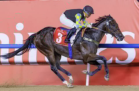 حقق حلم كيوبيد فوزًا مريحًا بفارق ثلاثة أطوال في سباق طيران الإمارات بقيمة 250,000 درهم، بقيادة ويليام بيريرا. الصورة: DRC