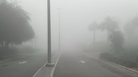 الضباب صباح الخميس، ٢٠ نوفمبر