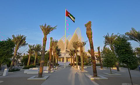 صور كيه تي: محمد سجاد