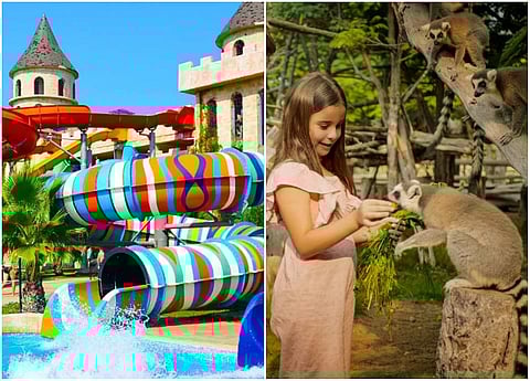 فعاليات وعروض مميزة في عيد الاتحاد الـ54 