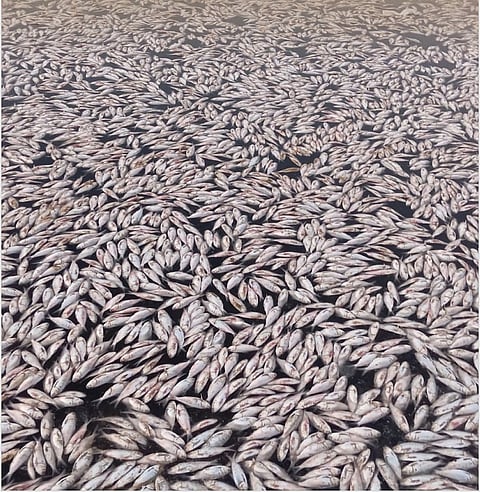 هيئة البيئة – أبوظبي/إنستغرام