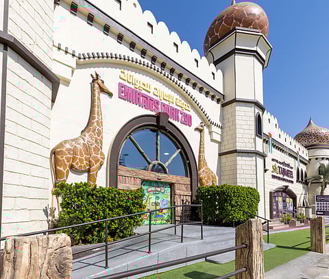 حديقة الإمارات للحيوانات تطلق المخيم الشتوي 2025-2026