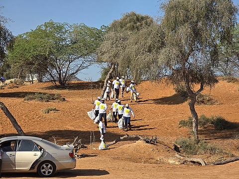 90 ألف متطوع يجوبون الصحراء لحماية بيئتها في حملة "نظفوا الإمارات"