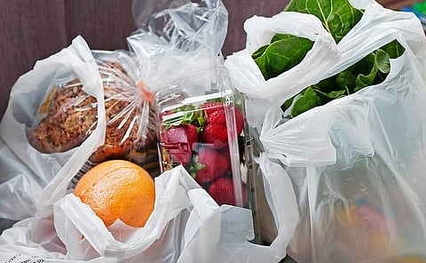 الإمارات تستعد لتطبيق المرحلة الثانية من حظر البلاستيك مطلع يناير