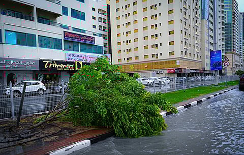 الشارقة تواجه تقلبات الطقس بجاهزية قصوى وتكاتف مجتمعي لافت