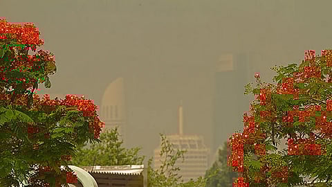 توقعات بأمطار ورياح مثيرة للأتربة يوم الإثنين في الإمارات